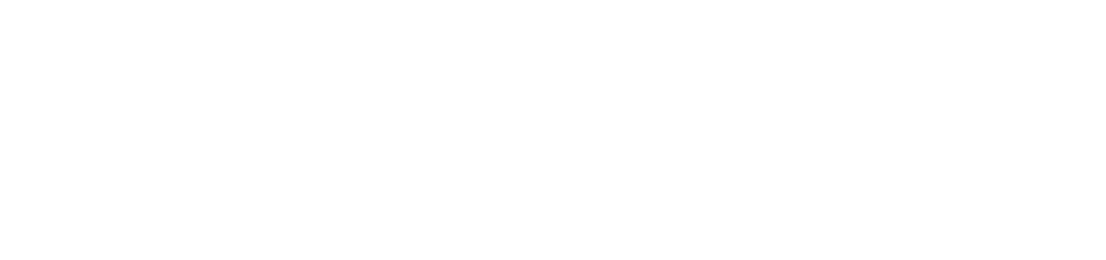 Nosto-logo_white